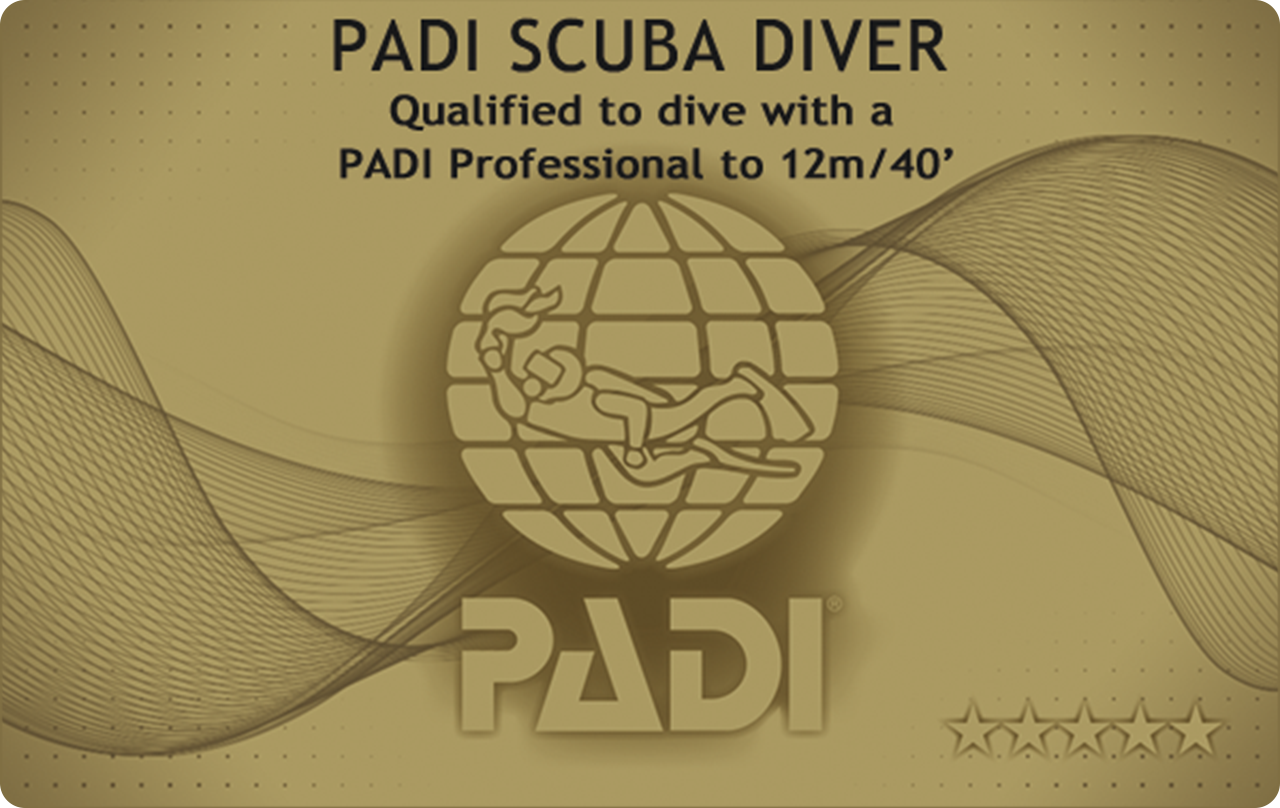 PADIスクーバ・ダイバー・コースのイメージ