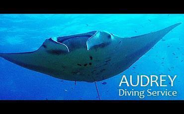 AUDREY Diving Serviceのイメージ