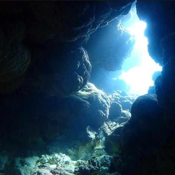 グローバルダイブ