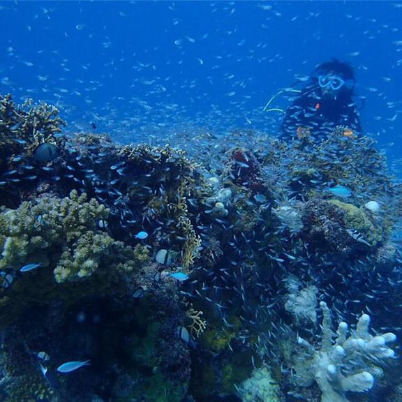 グローバルダイブのイメージ