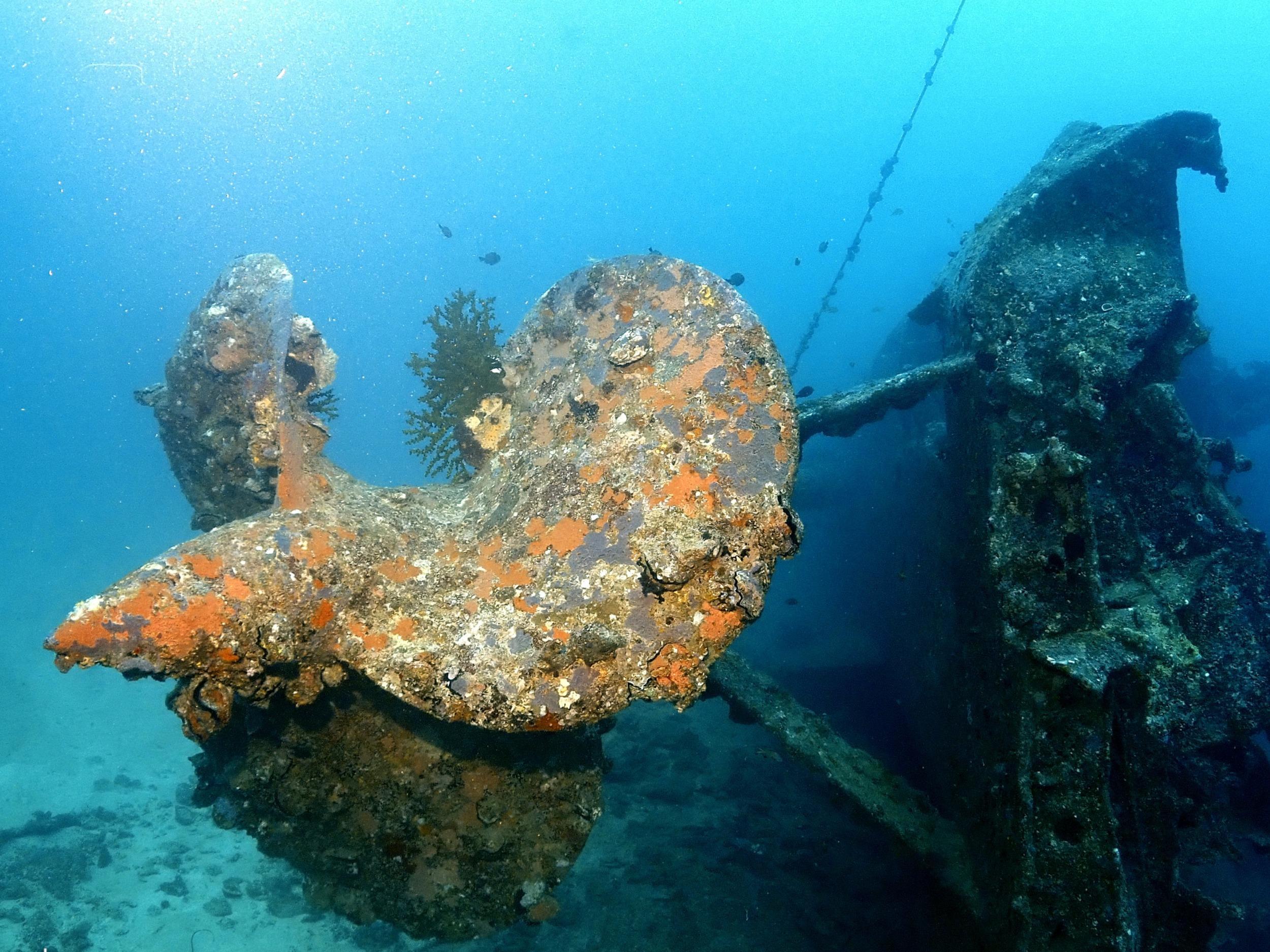 mardiving（マーダイビング）のイメージ