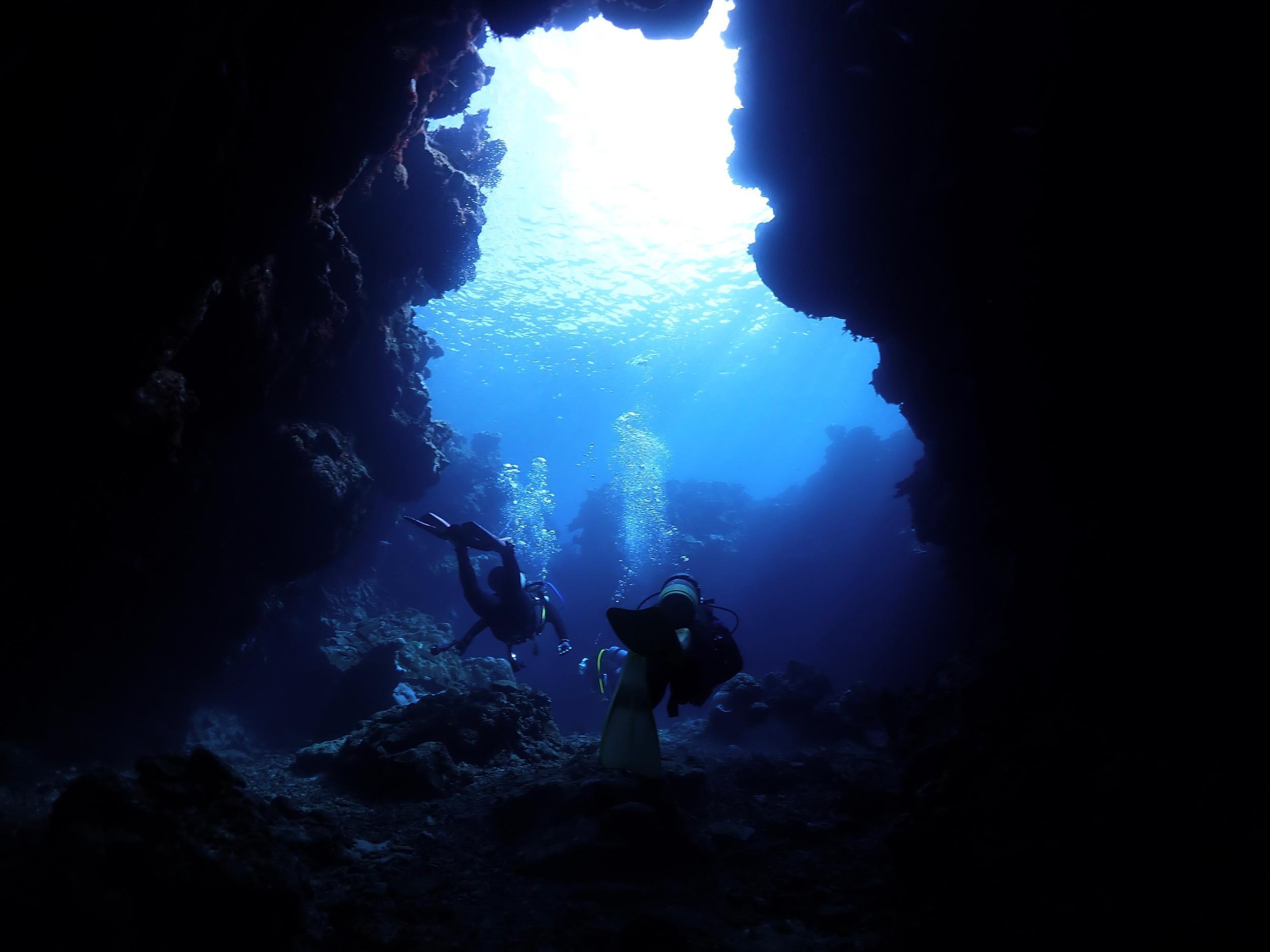 トムズダイバーズのイメージ